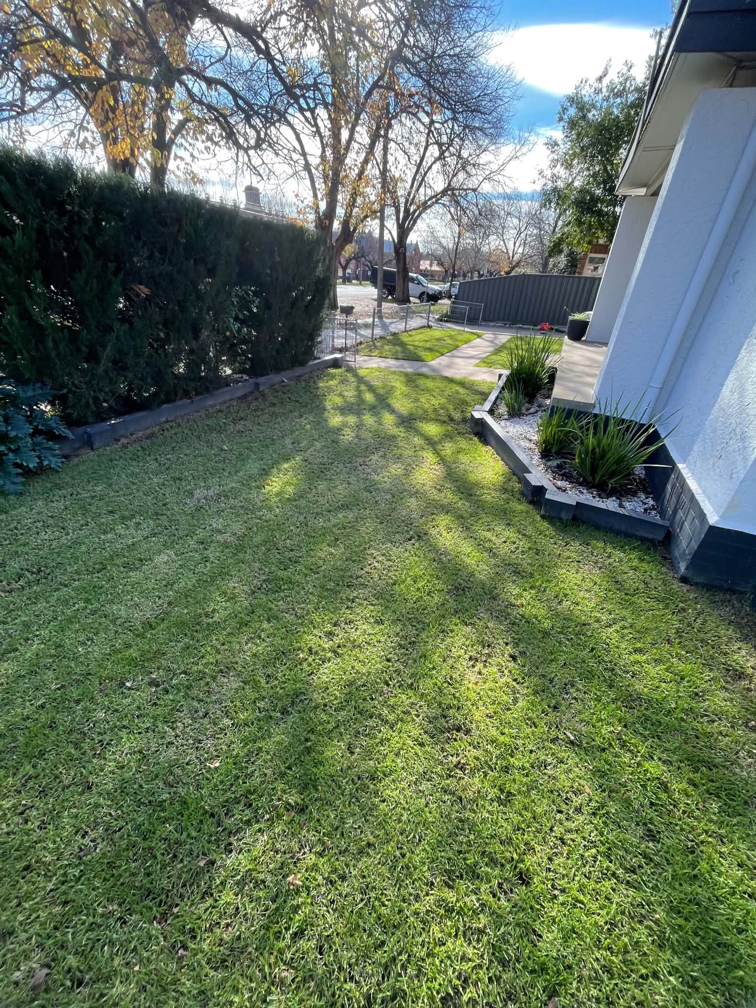 Tidy residential front lawn and maintained garden in Bendigo